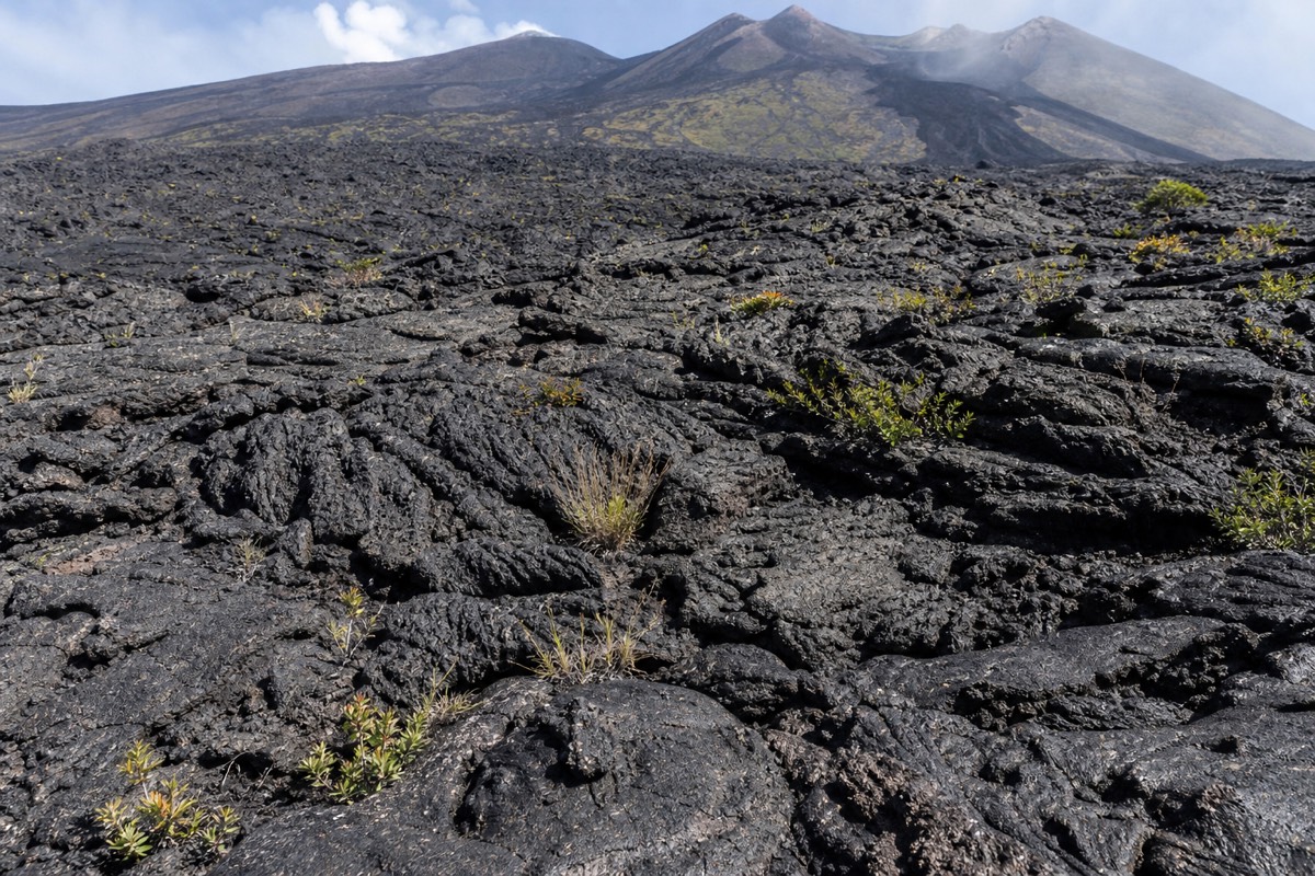 A cooled lava field on Mount Etna's slopes left by past volcanic activity on Mount Etna