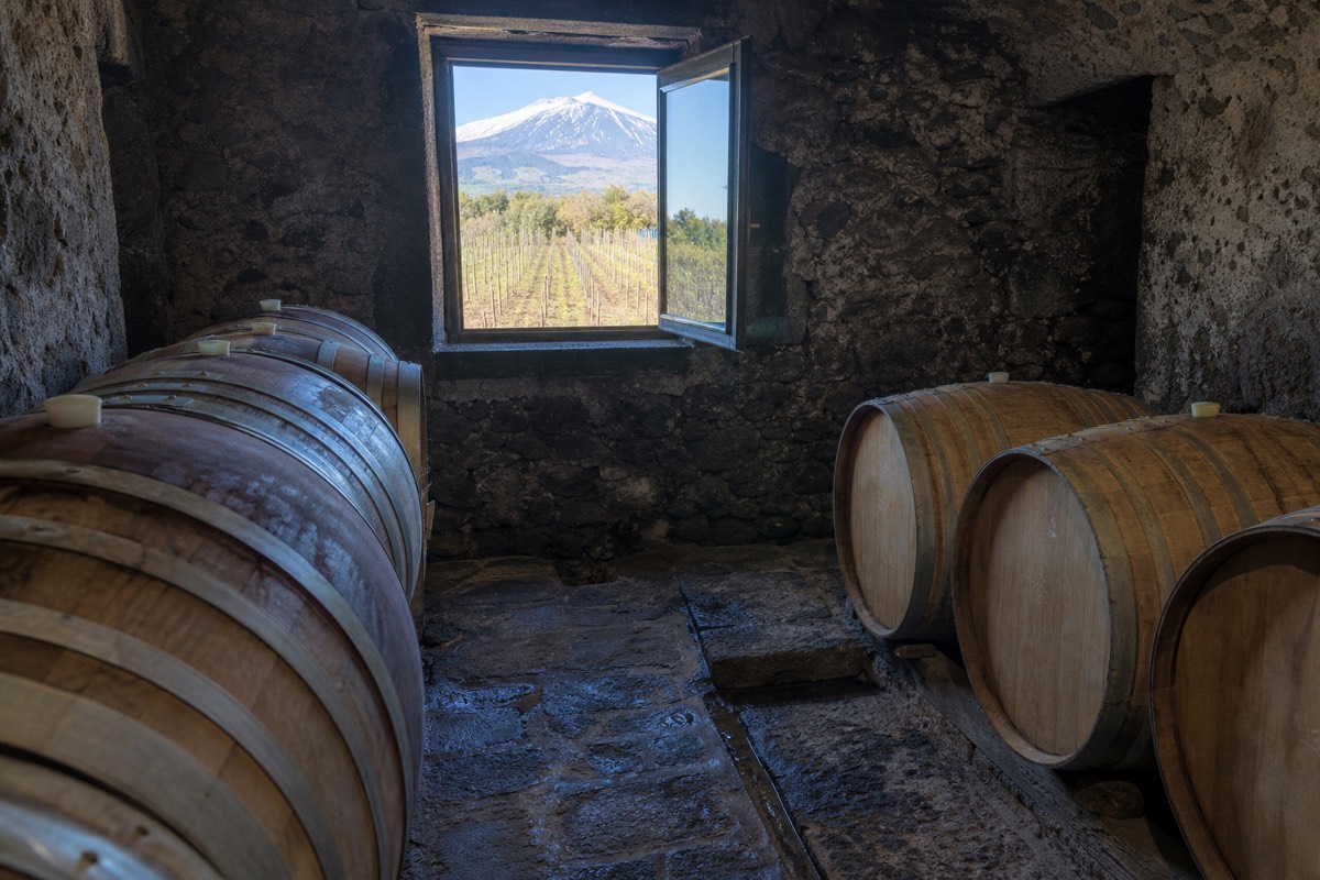 Barrels resting in a cellar where Etna DOC wine is aged